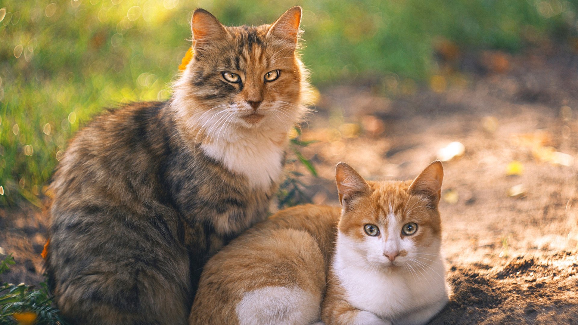 《跨界合作：电竞与时尚产业的精彩碰撞》，电竞跨商行业是什么意思