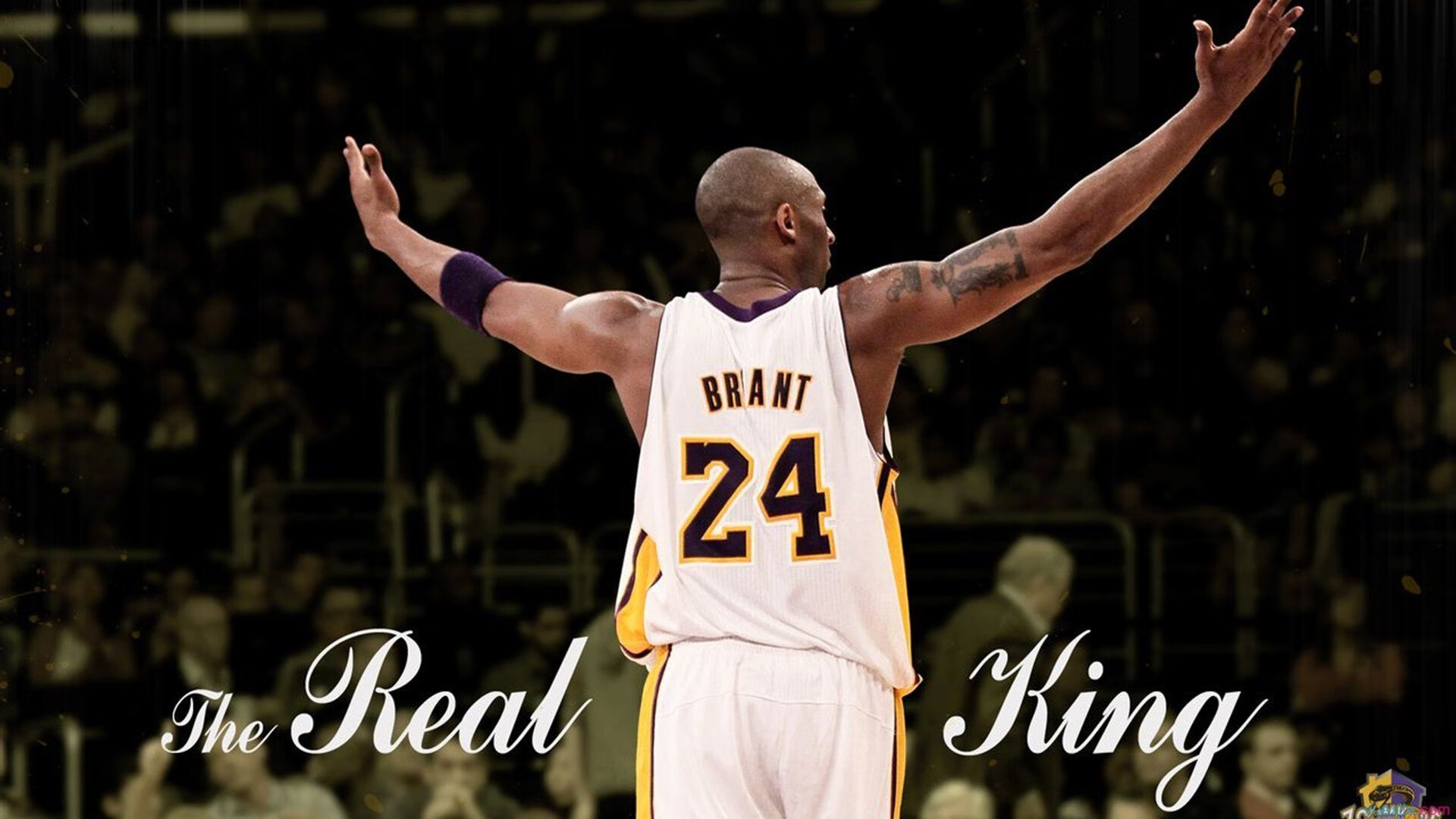 皮特·斯图斯：带领南非羚羊队捍卫荣耀，冲击橄榄球顶级赛事